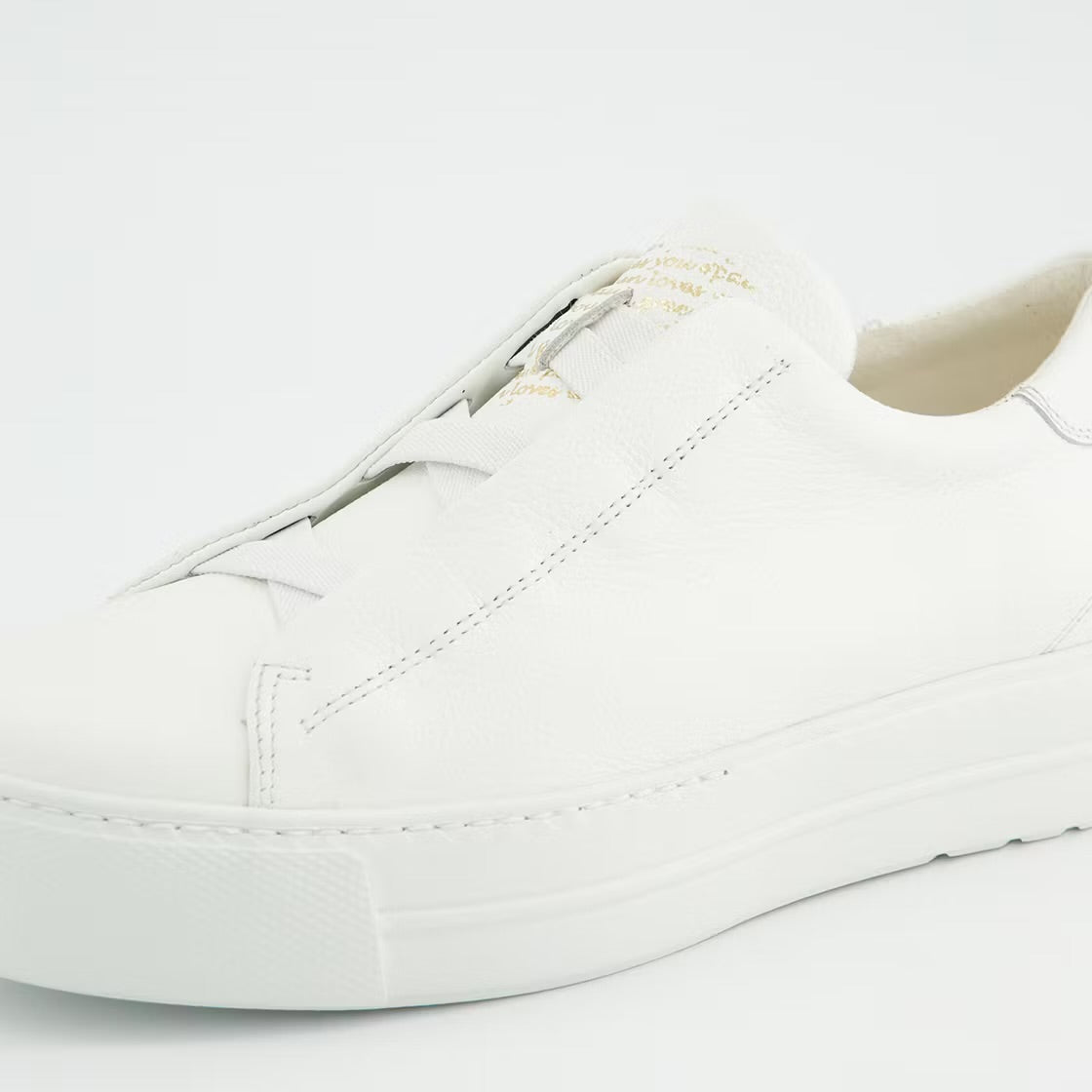 Paulgreen 5529-039